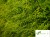 NB 229 zoom biuro logo.jpg