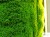262 chrobotek sciana zoom  logo.jpg