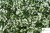 NB 244 zoom logo.jpg