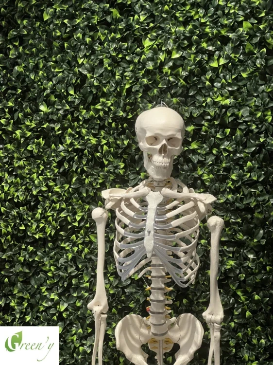 Ściana sztuczne rośliny ognioodporne ogniotrwałe cytrus Green'y NB234FP.jpg