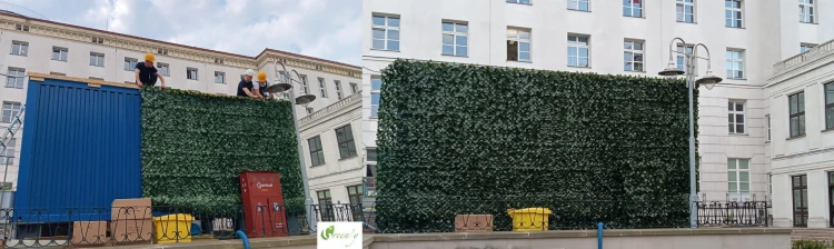 Sztuczny zywoplot w rolce  klon maskowanie brzydkiej sciany widok przed i po zastosowaniu do krycia sciany Green'y NB 202.jpg