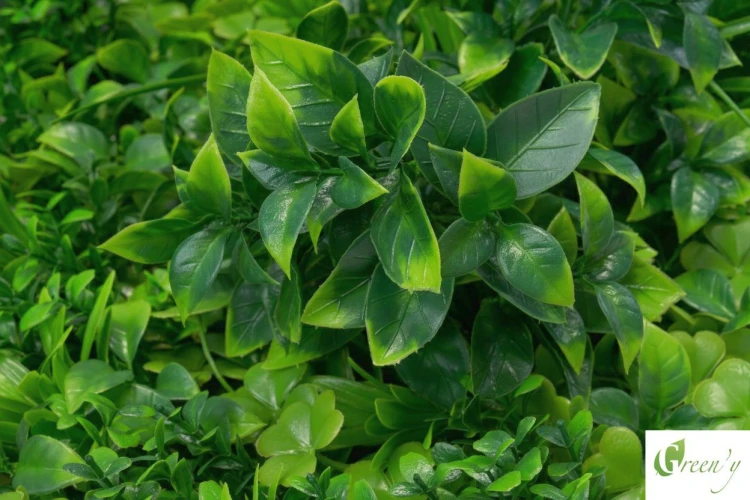 Sztuczne rosliny panel mata 0,5x0,5 m ogrod pionowy ogrod na scianie  ogrod wertykalny sztuczny zywoplot polana do dekoracji wnetrz i elewacji budynkow NB 105-2 marki  Green'y zoom zblizenie