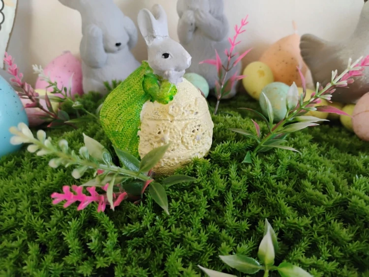 330f24554d6886c0413b70526a3e.jpg