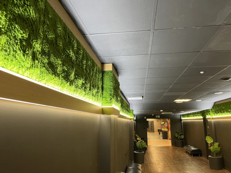 image_50388737.JPG