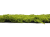 NBM 205 cross 2560.png