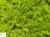 NBM 205 zoom 1 logo.jpg