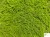 NBM 205 zoom 2logo.jpg