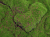 NBM 204 detal ED.png