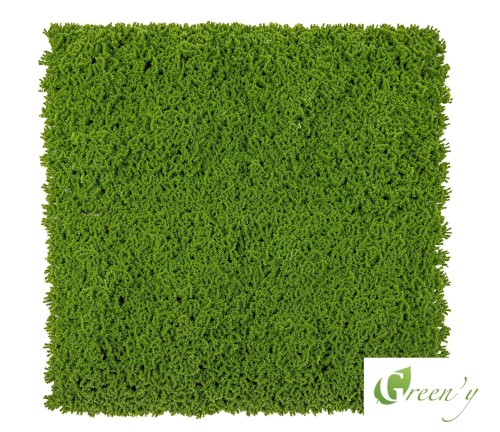 Chrobotek mech sztuczny panel jasnozielony mata 0,5 x 0, 5 m front logo.jpg