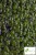 NB217 zoom logo.jpg